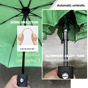 Umbrella 4