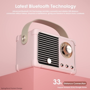 Bluetooth speaker 11
